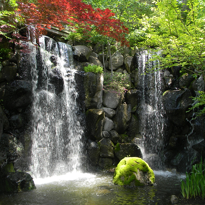 A waterfall with trees all around it. This waterfall is in Rockford's Japanese gardens.